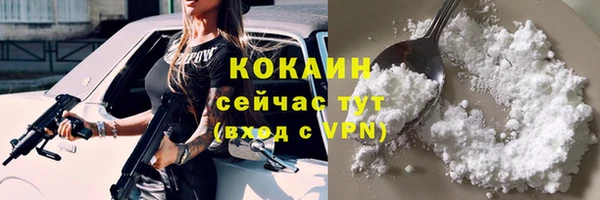 индика Орехово-Зуево