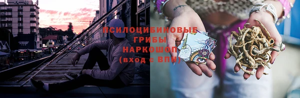 СК Медногорск