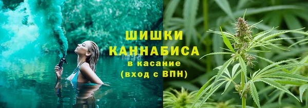 СК Медногорск