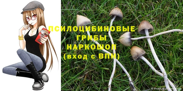 экстази Медвежьегорск