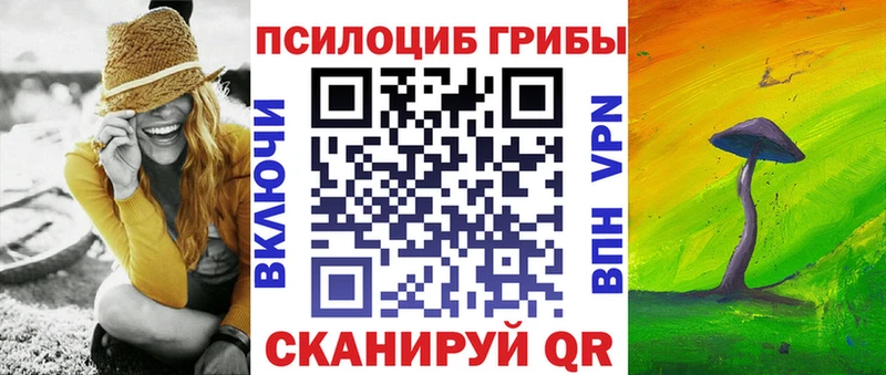 продажа наркотиков  Гвардейск  Псилоцибиновые грибы MAGIC MUSHROOMS 